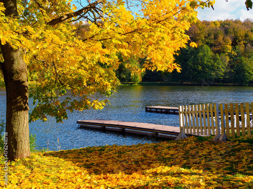 yellow maple tree with fallen leaves, a boat dock in a city park in autumn