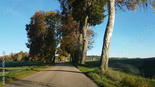 An autumn landscape seen through the window of a moving car