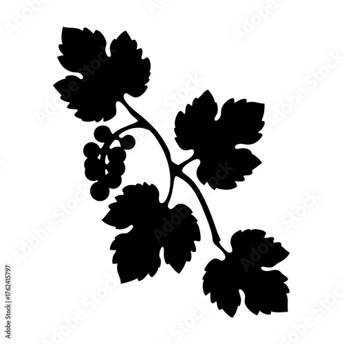 Vector art of silhouette of a grape vine with leaves and berries, , depicting its graceful form and the promise of a bountiful harvest
