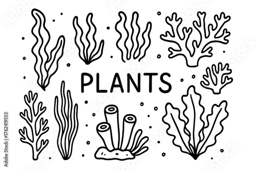 Oceanic Plant Doodles. Doodle sea plants with kelp, seaweed, and corals, center word “Plants” in black and white isolated
