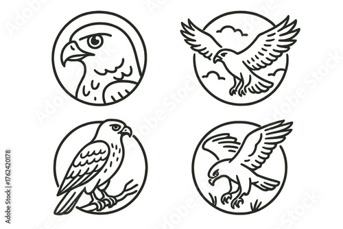 Hawk Icon Set. Line style round icons of hawk: predator, eyesight, soaring, hunt; sharp beak, talons, spread wings, perched pose;