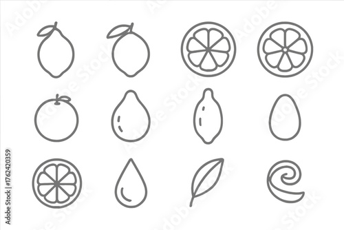 Citrus Fruit Icons. Line style round icons of citrus fruits: lemon, lime, orange, grapefruit; tangerine, pomelo, citron, kumquat;