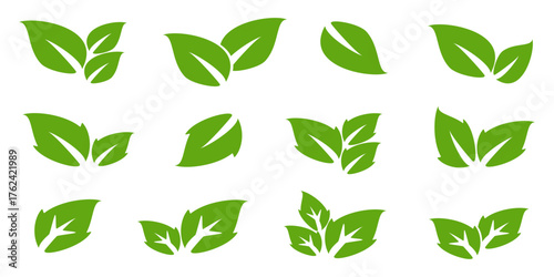 Leaf illustration in flat style, green leaves, nature theme, forest, garden and trees. plant ecosystem