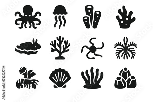 Marine Invertebrate Icons. Solid style icons of Marine invertebrates: octopus, jellyfish, sponge, sea slug, sea fan, brittle star,