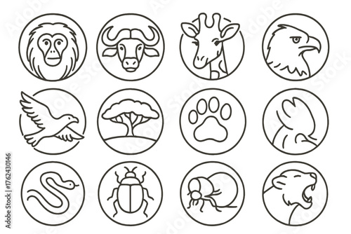Kilimanjaro Wildlife Icons. Line style round icons of wildlife near Kilimanjaro: colobus monkey, buffalo, giraffe, antelope; bird