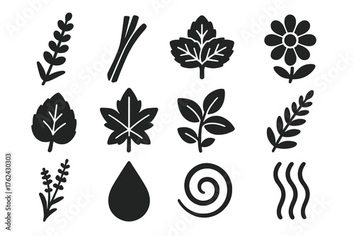 Aromatic Plant Icons. Solid style icons of Aromatic Plants: lavender sprig, lemongrass stalk, mint bunch, chamomile bloom, lemon