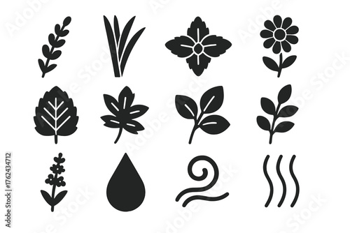 Aromatic Plant Icons. Solid style icons of Aromatic Plants: lavender sprig, lemongrass stalk, mint bunch, chamomile bloom, lemon