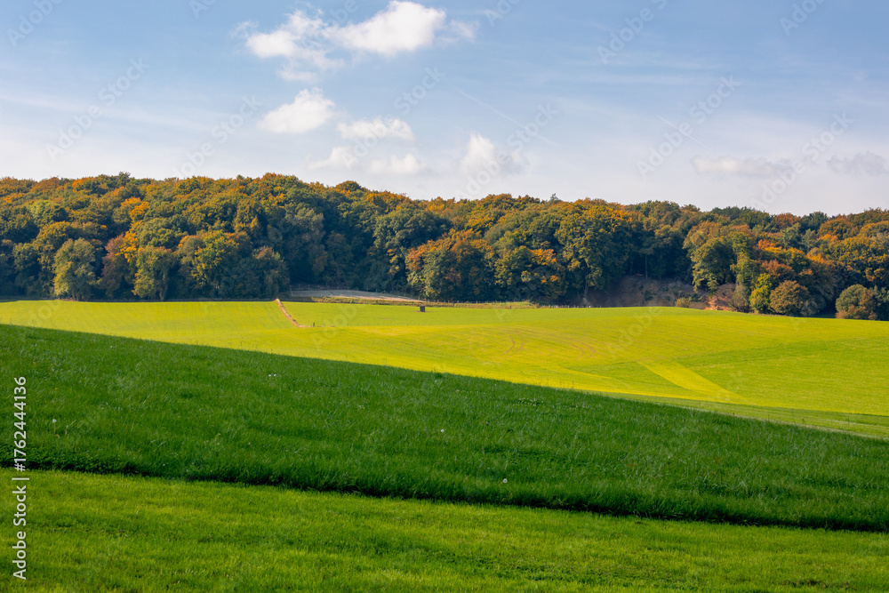Fototapeta premium Autumn landscape, Terrain hilly countryside in Zuid-Limburg with green grass field, farmland and forest under blue sky, Epen is a village in southern part of the Dutch province of Limburg, Netherlands