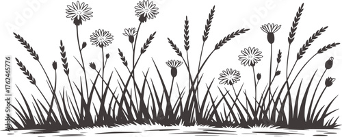 Black and white illustration of wild grasses and flowers nature