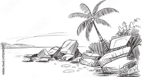 Black and white ink sketch of a tropical island shore palm tree