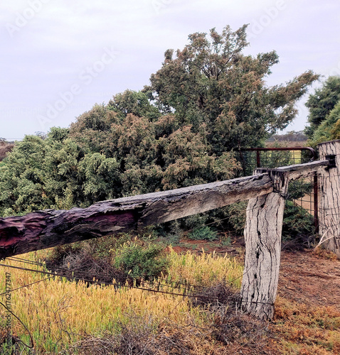 wooden fence posts on a farm in the australian outback