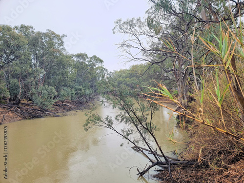 the murrumbidgee river with eucalyptus trees on the river bank.