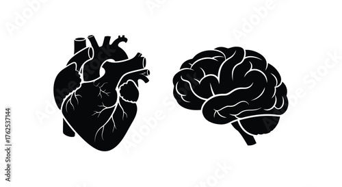 Visual representation of the human heart and brain side by side