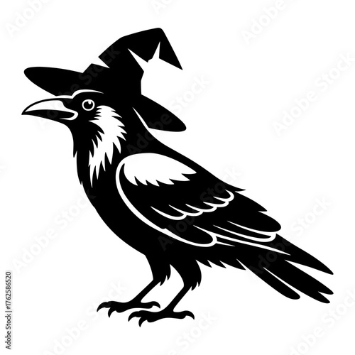 Raven in Witch Hat