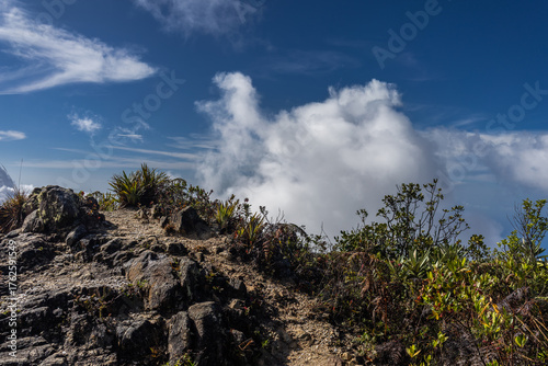 Exploring Caracas, Venezuela. Semi-paramo vegetation and landscape in Waraira Repano National Park. Hiking in the Avila Mountains