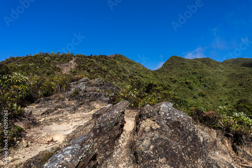 Exploring Caracas, Venezuela. Semi-paramo vegetation and landscape in Waraira Repano National Park. Hiking in the Avila Mountains