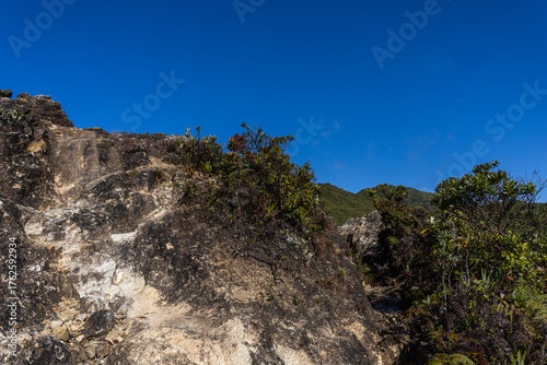Exploring Caracas, Venezuela. Semi-paramo vegetation and landscape in Waraira Repano National Park. Hiking in the Avila Mountains