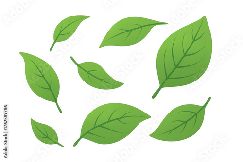 Green leaves vector illustration set floating on transparent background, symbolizing nature, ecology, and organic growth