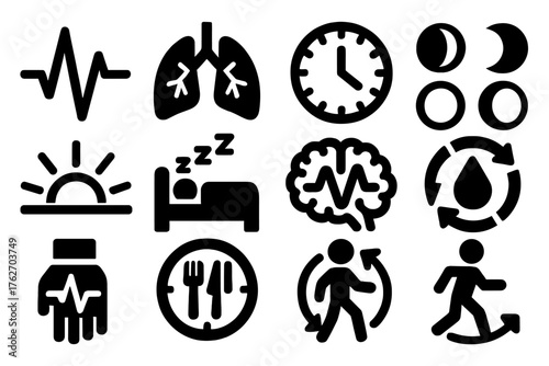 Biological rhythm silhouette set: heartbeat line, breathing lungs, circadian clock, moon phases, sunrise, sleeping figure, brain waves, menstrual cycle, hormone drop, pulse wrist,
