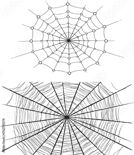 Contrasting Spiderweb Designs: Clean Geometric and Hand-Drawn Radial Illustrations