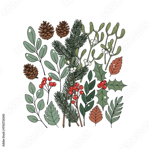 Hand drawn set of festive winter foliage and berries.