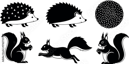 Hedgehog and squirrel silhouettes in simple black vector shapes with varied poses and textures for natural wildlife design elements