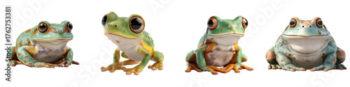 Adorable collection of tree frogs showcasing vibrant colors and unique patterns, perfect for educational materials and nature-themed projects, capturing amphibian beauty