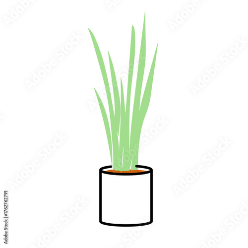 細長い葉が特徴のサンスベリアを描いた鉢植え観葉植物イラスト｜ナチュラルで清潔感のある室内インテリアをイメージしたベクターデザイン