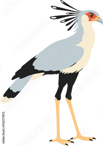 Flat Illustration of Secretary Bird Walking Pose in Wildlife Theme