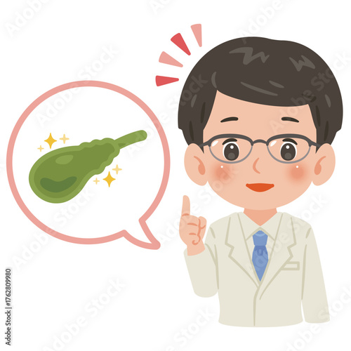 健康な胆嚢と白衣を着た男性医師　上半身イラスト／Healthy Gallbladder with Male Doctor in White Coat　upper body illustration
