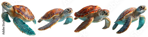 Graceful sea turtles gliding underwater, perfect for marine conservation campaigns or educational resources about ocean life, showcasing the beauty of marine wildlife