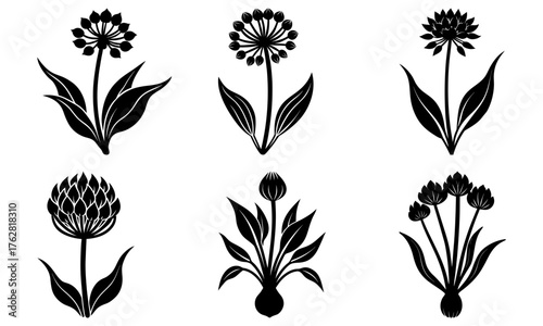 Elegant floral blossoms in a delightful botanical arrangement, perfect for invitations, crafts and scrapbooking, classic floral design with natural artistry