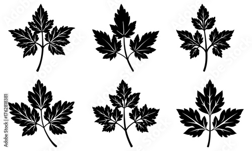 Elegant monochrome foliage designs, perfect for botanical illustrations and nature-inspired projects, originally a scalable vector graphic for flexible design use