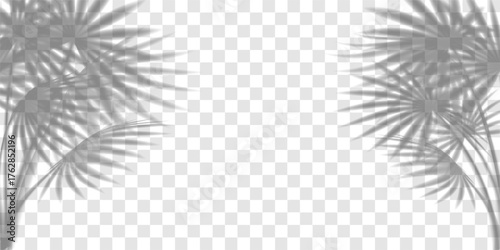 Palm tree leaves shadow, tropic plant overlay on transparent bg. Summer beach light effect, sun shade vector branch texture. Abstract floral sunlight, foliage silhouette on wall. Product gobo mockup