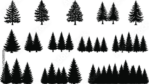 Collection of conifer tree silhouettes, pine forest groups, black vector design, evergreen woodland illustration, natural landscape outline, graphic nature element