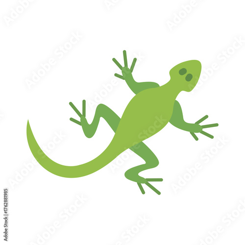A green lizard in a flat illustration style is shown with its limbs outstretched Its