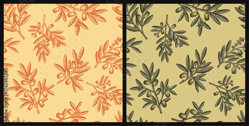 Botanical Engraving Style Creates a Natural Texture for Organic Olive Oil Packaging. Seamless Olive Branch Pattern