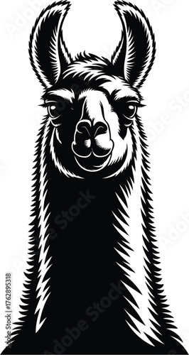 Llama Illustration Silhouette Animal Wildlife Art