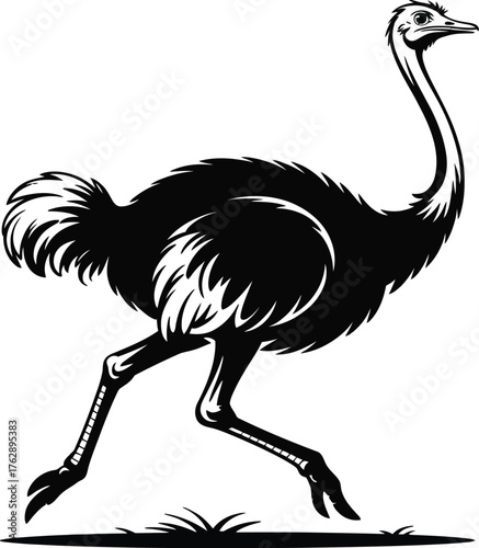 Ostrich Silhouette Vector Graphic Design Style