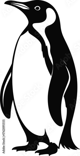 Silhouette Penguin Bird Isolated Vector