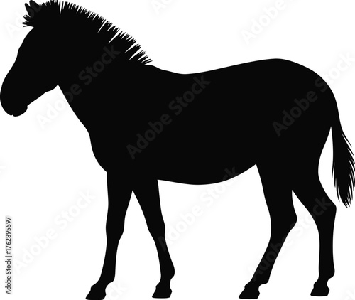 Solid Zebra Silhouette Side View Equine Animal