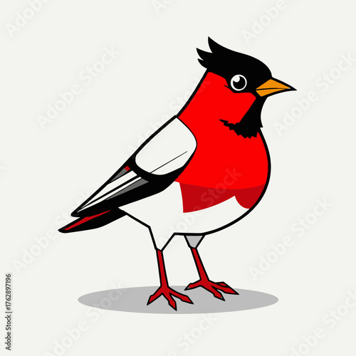 Cartoon illustration of a red and white bird with a black head, standing on a white background.