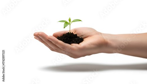 A hand nurturing a young seedling in soil, symbolizing growth and new beginnings on a white background