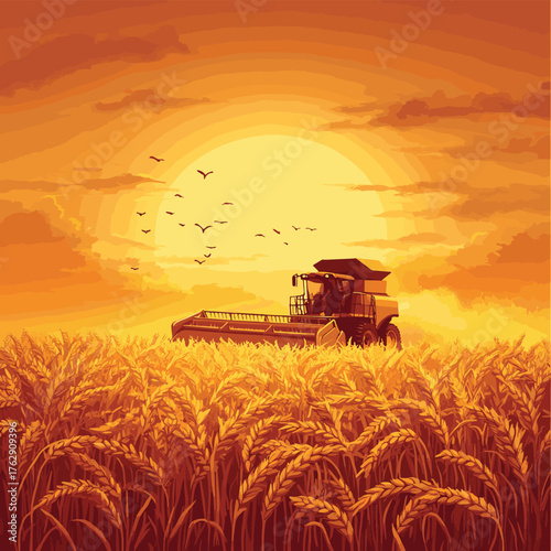 A golden wheat field glows in the sunset, with a combine harvester in the background, symbolizing agriculture and harvest time.   , vector style simple color