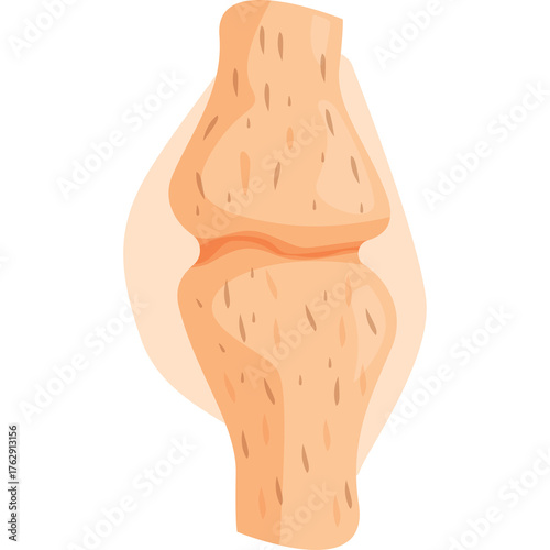 Close Up Of A Human Knee Joint Anatomy With Visible Cartilage And Ligaments A Simple Medical Illustration On A Transparent Background With Soft Orange Glow
