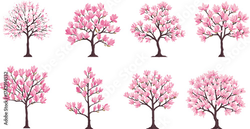 Eight Pink Magnolia Trees With Dark Brown Trunks On White Background pink flowers spring
