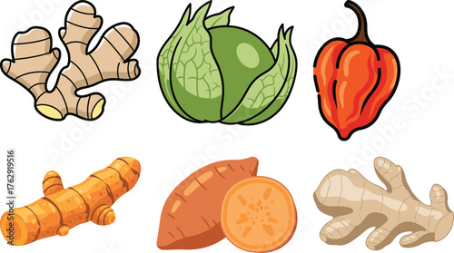 Six cartoon style root vegetables and peppers on a white background ginger turmeric