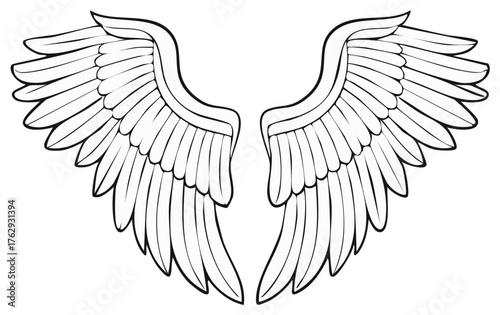 Elegant pair of open angel wings with detailed feathers line art illustration
