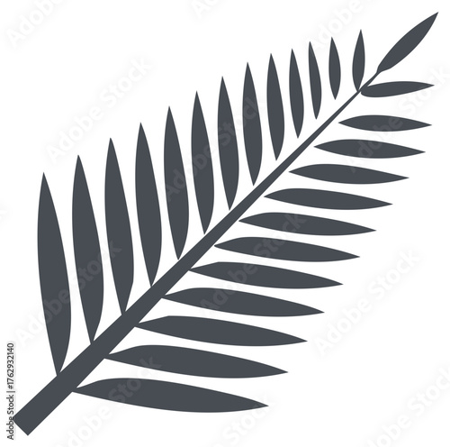 Stylized dark gray palm frond silhouette against white background