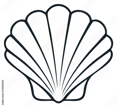 Elegant Seashell Line Art Illustration Featuring Decorative Coastal Theme Ideal for Summer Projects